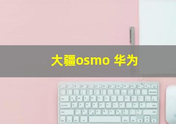 大疆osmo 华为